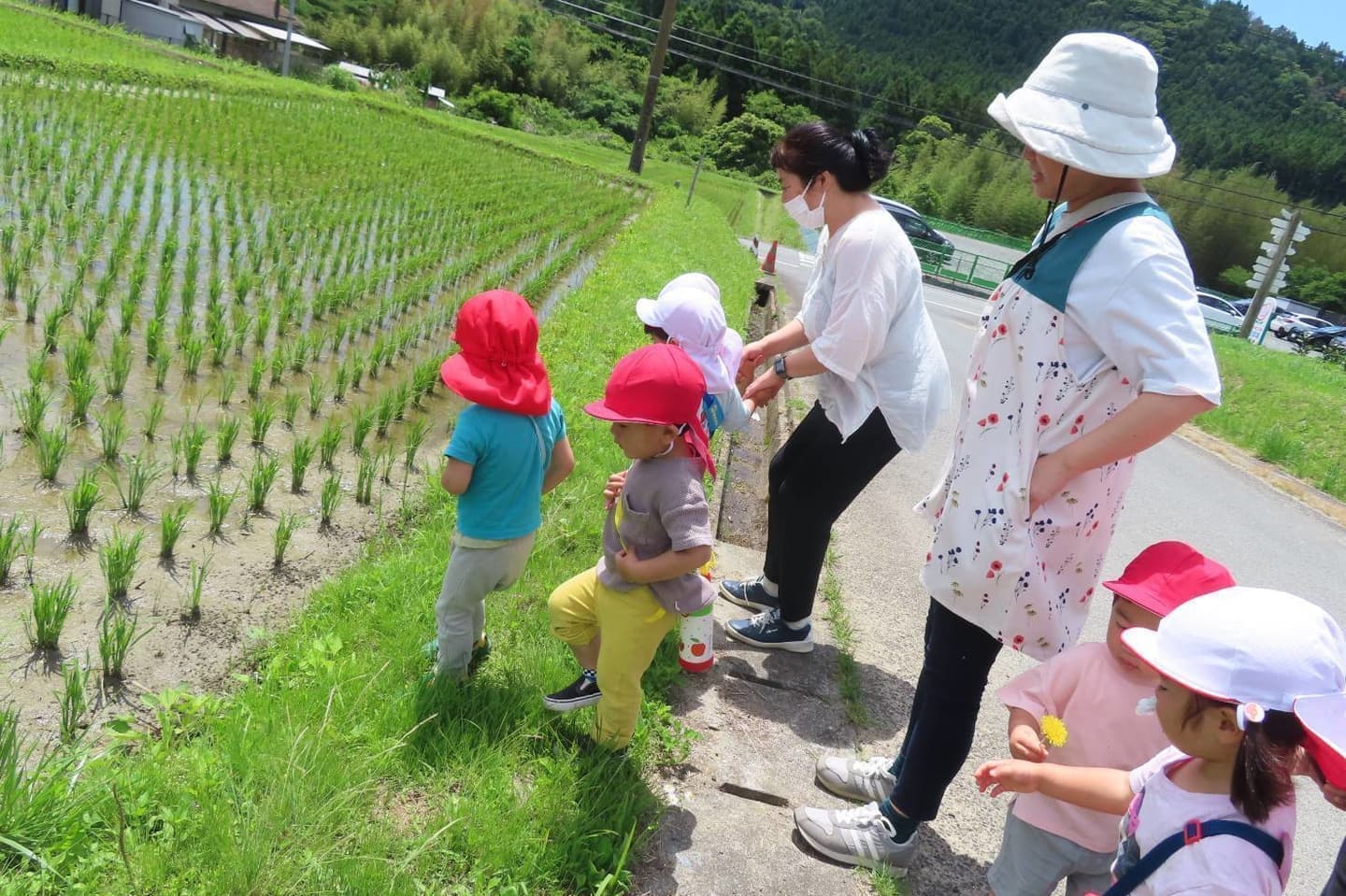 あざみ野こども園で自然保育を受ける園児