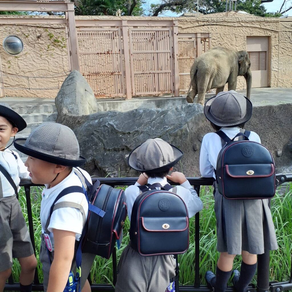 あざみ野こども園遠足の様子