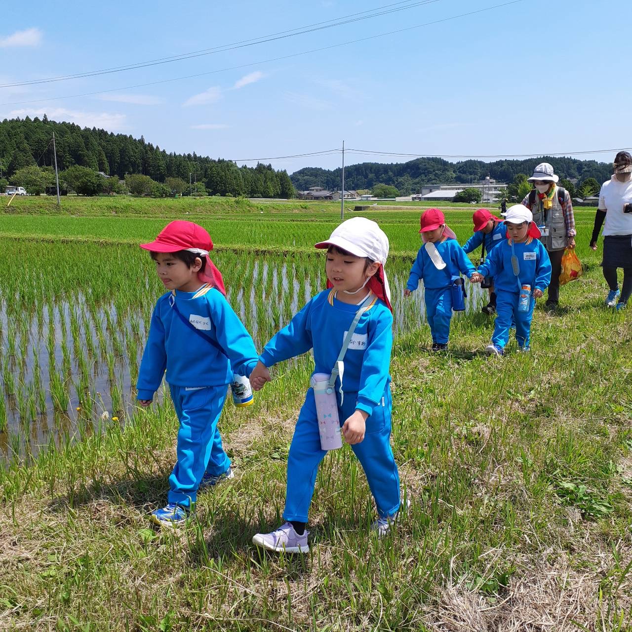 自然豊かなロケーションで学ぶ園児たち